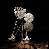 Der Wind Ein Projekt aus dem Bereich Bildende Künste, Bühnendekoration, Kreativität, H, werk, Events, Skulptur, Audiovisuelle Produktion und Design von Kalyna Cavalcanti - 04.07.2021