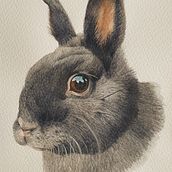 Watercolour Bun. Un projet de Aquarelle de Kimberley D - 04.07.2021
