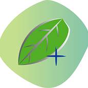 Hojita y símbolo + . % Samil Moret tarafından hazırlanan Grafik Tasarım projesi - 02.17.2021
