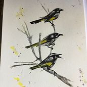My project in Artistic Watercolor Techniques for Illustrating Birds course. Traditional illustration, Watercolor Painting, Realistic Drawing, and Naturalistic Illustration project by Linda Mangubhai - 07.06.2021