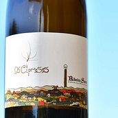 Diseño Etiqueta de Vino . Graphic Design, Br, ing & Identit project by Daniel Lores - 02.02.2019
