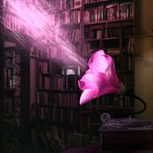 My project in Magical Photomontage in Photoshop: Creating Visual Metaphors course. Photograph, Post-production, Photo Retouching, Digital Photograph, Photographic Composition, and Photomontage project by Arthur Veiga - 07.06.2021