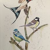 Mon projet du cours : Techniques artistiques d'aquarelle pour illustrer les oiseaux. Projekt z dziedziny Trad, c, jna ilustracja, Malowanie akwarelą, R, sunek realist, czn, Ilustracja naturalist i czna użytkownika Séverine Bazoge - 07.07.2021