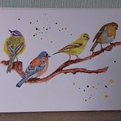 My project in Artistic Watercolor Techniques for Illustrating Birds course. Traditional illustration, Watercolor Painting, Realistic Drawing, and Naturalistic Illustration project by Hazel Fairclough - 07.07.2021