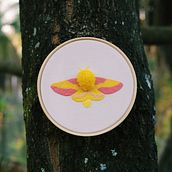 Mariposa Rosada do Bordo. Embroider project by Kelly Lima - 06.25.2021