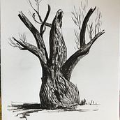 Este curso de Puño mola. Un proyecto de Dibujo a lápiz, Dibujo, Sketchbook y Creatividad con niños de Christof Trimmel - 07.07.2021