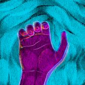 CATCH-RELEASE. Motion Graphics project by Miguel Camacho Torres - 01.31.2021