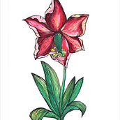 flowers -watercolor. Traditional illustration project by lelatr85 - 07.08.2021