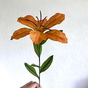 Mi Proyecto del curso: Diseño de flores realistas en papel. Paper Craft, Decoration, and DIY project by Rocío Ramírez - 07.08.2021