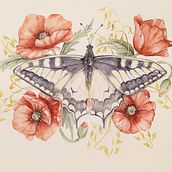 My project in Naturalist Illustrations with Watercolors: Drawing and Composition course. Traditional illustration, Drawing, Watercolor Painting, and Naturalistic Illustration project by nico_2021 - 07.08.2021