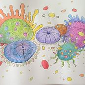 Abstracting the Urchin. Een project van Traditionele illustratie van Caryl Price - 09.07.2021