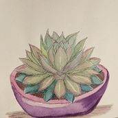 Succulentlove part 2. Traditional illustration project by Katja Wetzel - 07.09.2021