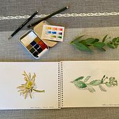 Stonecrop. Traditional illustration project by martin_s - 07.10.2021