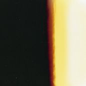my palettes . Photograph project by Alessandra Yumi Carvalho Ogawa - 07.11.2021