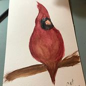 Cardinal. Un proyecto de Pintura a la acuarela de Caitlin Rockett - 11.07.2021