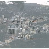 Biodiver_Cities. Architecture project by Jennifer Koat - 02.16.2020