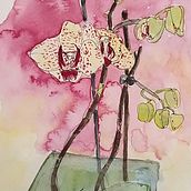 My project in Botanical Sketchbooking: A Meditative Approach course. Un proyecto de Ilustración tradicional, Bocetado, Dibujo, Pintura a la acuarela, Ilustración botánica y Sketchbook de Sophie Chambon - 11.07.2021