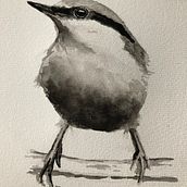 My project in Artistic Watercolor Techniques for Illustrating Birds course. Traditional illustration, Watercolor Painting, Realistic Drawing, and Naturalistic Illustration project by Dolores van Arkel - 07.11.2021