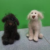 wool felted poodle and labradorXpoodle . Projekt z dziedziny Craft użytkownika Valerie Suwanseree - 12.07.2021