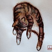 My cats. Traditional illustration project by Emily - 07.12.2021