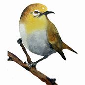 My project in Artistic Watercolor Techniques for Illustrating Birds course. Traditional illustration, Watercolor Painting, and Realistic Drawing project by Franklin - 07.12.2021
