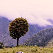 paisaje. Photograph, Photo Retouching, Digital Photograph, Photographic Composition, and Color Theor project by Gabriel Vargas - 07.09.2021