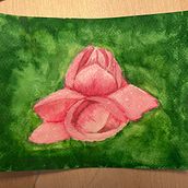 Tulip tree blossom (watercolor). Fine Arts project by Jen Pack - 04.11.2021