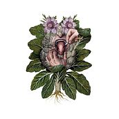 Manual de Jardinería Humana. Un proyecto de Ilustración tradicional, Serigrafía e Ilustración con tinta de Cristiano Gabrielli - 13.07.2021