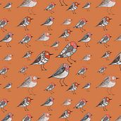 Red birds. Traditional illustration project by Raffaella Fiore - 07.13.2021