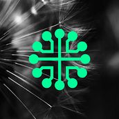 Wild area networks . Design, Graphic Design, Br, ing & Identit project by bhuvan099 - 07.13.2021