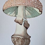 Meu projeto do curso: Ilustração de elementos naturais em aquarela. Traditional illustration, Watercolor Painting, and Naturalistic Illustration project by Erika Oliveira - 07.13.2021