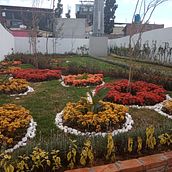 Diseño de jardines Cablebús México . Architecture project by Pamela Pedroza - 07.14.2021