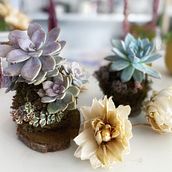 Mi Proyecto del curso: Kokedamas: crea macetas naturales de musgo. Artesanato, Design de interiores, Paisagismo, Decoração de interiores, DIY, e Design floral e vegetal projeto de Norma Ferreira - 11.07.2021