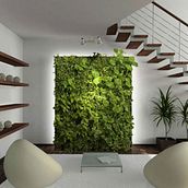 Realize os seus sonhos .... Interior Architecture, Interior Design, Decoration, Interior Decoration, and Retail Design project by Anna Luisa - 06.29.2021