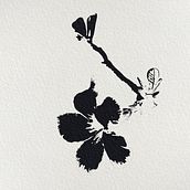 My project in Shodo: Introduction to Japanese Calligraphy course. Calligraph project by qaman333 - 07.15.2021