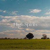 High Spirits - Manifesto Ein Projekt aus dem Bereich Kino, Video und TV, Werbung, Audiovisuelle Produktion und Farbausbesserung von José Souki - 15.07.2021