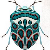 Beetle surface design. Traditional illustration project by Colleen Morton - 07.16.2021