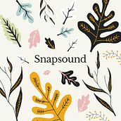 Snapsound Website Design. Web Design, Traditional illustration, and Graphic Design project by Mike Kus - 10.02.2019