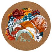 Harú. Un proyecto de Collage, Dibujo artístico, Dibujo de Retrato, Pintura acrílica y Bellas Artes de Marisel Bergioli - 16.07.2021