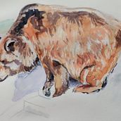 Mi Proyecto del curso: Técnicas experimentales de acuarela para principiantes . Un projet de Illustration traditionnelle, Aquarelle, Illustration naturaliste , et Beaux Arts de maripinhoa - 15.07.2021