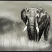Elephant. Digital Illustration, and Drawing project by silversong - 07.18.2021