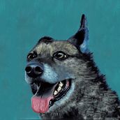 Hall de la fama de los perros de mi vida. Painting, Acr, and lic Painting project by Momi Lotta - 07.19.2021