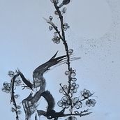 Sumi-e paintings by KOSHU. Design project by Nokkie Benade - 07.19.2021
