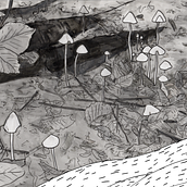 Racines (Trailer). Animation project by Anaïs M - 07.19.2021