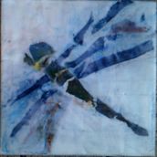 Dragonfly. 3D project by Mavis Paskulich - 07.20.2021