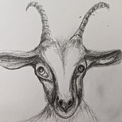 Gabriella is a goat in a children's book. These illustrations show how we developed her final look.. Un projet de Illustration traditionnelle de Judy Struck - 14.07.2021