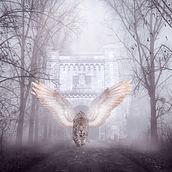 Mi Proyecto del curso: Adobe Photoshop avanzado. Un projet de Design , Postproduction photographique , et Retouche photographique de piagor75 - 20.07.2021