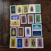 Beetle project. Un progetto di Illustrazione tradizionale di maartjevandenderen - 21.07.2021
