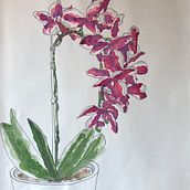 SOME PREVIOUS WORKS. Traditional illustration, Painting, Sketching, and Watercolor Painting project by Fillis Franceschini - 07.21.2021