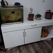 Mi Proyecto del curso: Carpintería profesional para principiantes. Un progetto di Artigianato, Design e creazione di mobili, Interior design, DIY e Falegnameria di Leonardo Kelly Rochon - 05.07.2021
